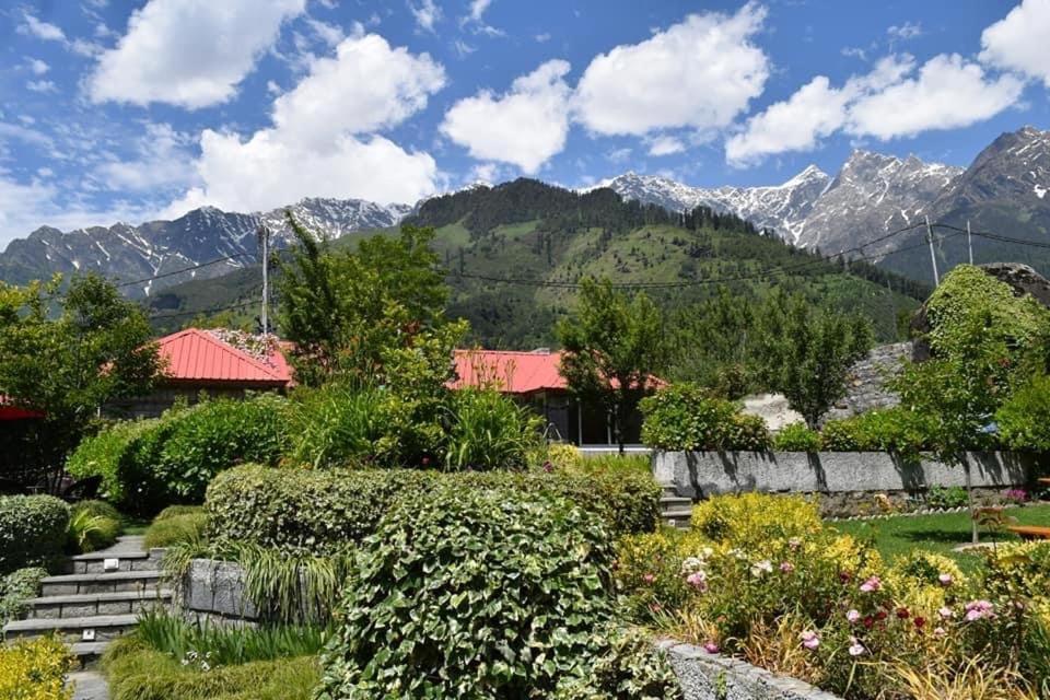 The Amrit Manali 2&3 Bhk Villas Exteriér fotografie